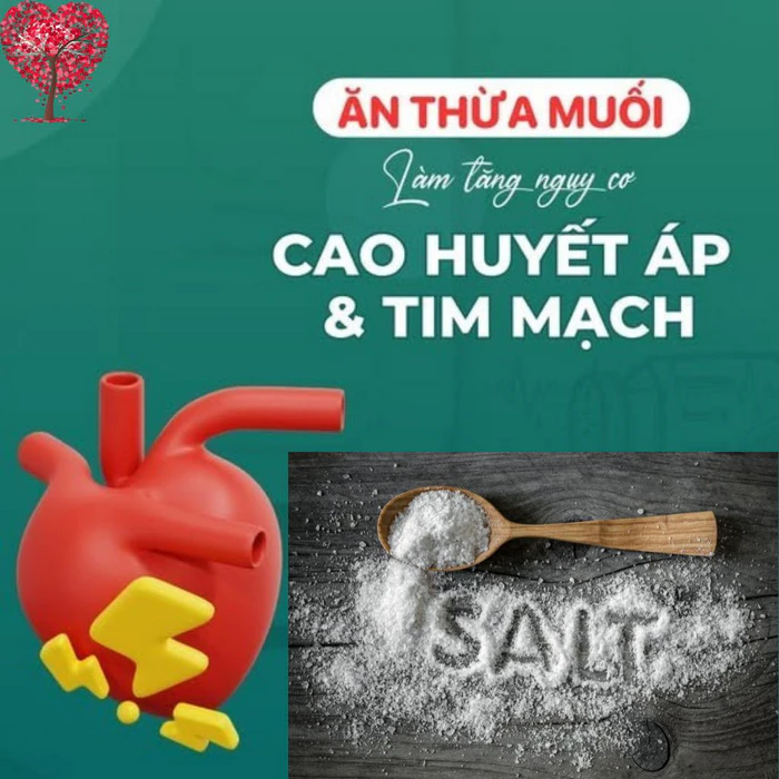 Tác hại của ăn mặn và 10 cách giảm muối hiệu quả trong bữa ăn hằng ngày