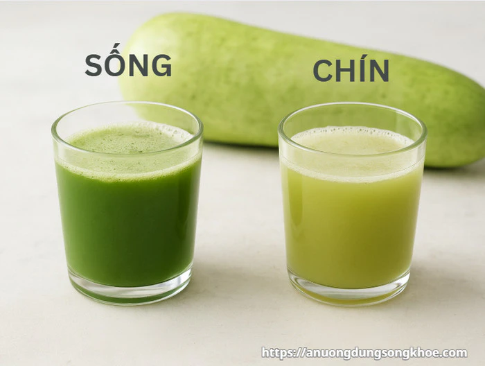 So sánh nước ép bí đao sống và bí đao chín về dinh dưỡng và độ an toàn