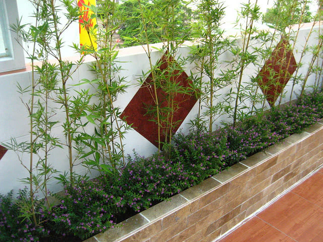 Trồng cây xanh trước nhà để hóa giải hướng nhà xấu