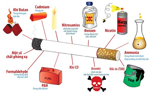 Các chất độc hại trong khói thuốc lá