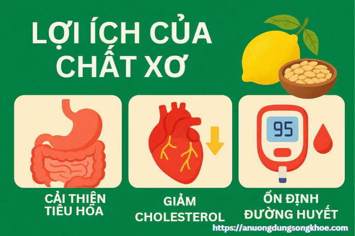 Infographic lợi ích của chất xơ từ rau củ quả – https://anuongdungsongkhoe.com