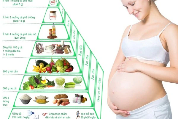 Chế độ dinh dưỡng cho phụ nữ có thai