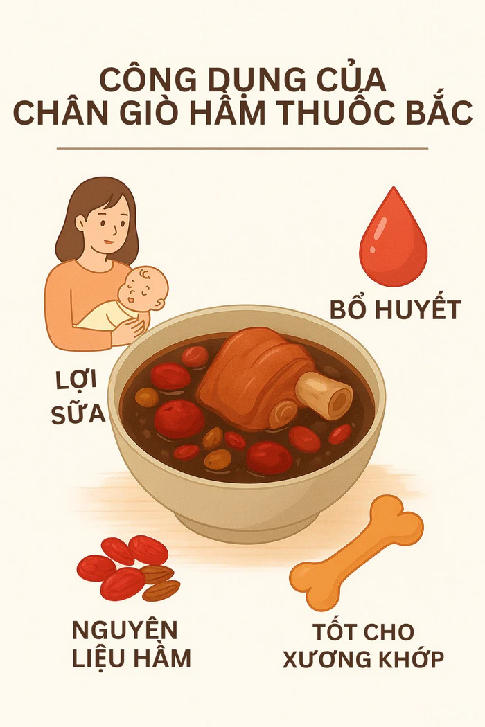 Công dụng chân giò hầm thuốc bắc đối với sức khỏe