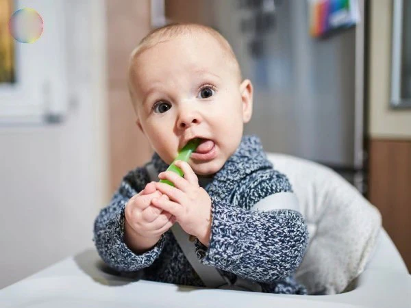 Dấu hiệu nhận biết bé sẵn sàng bắt đầu ăn dặm