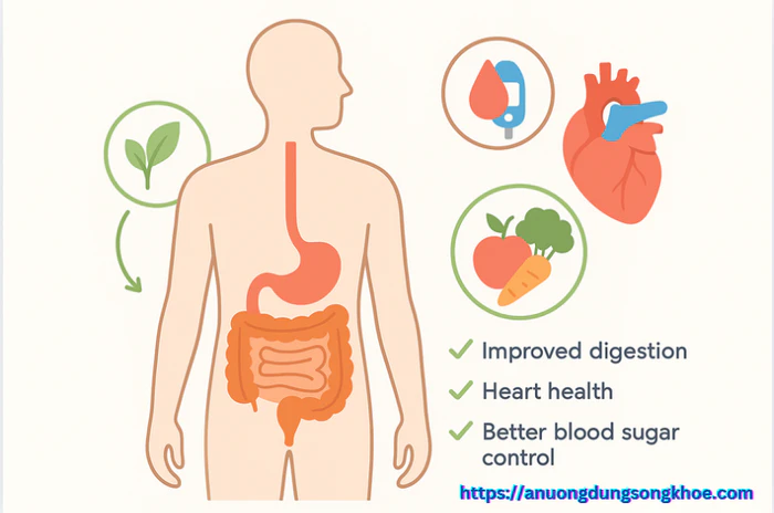 Vai trò của chất xơ trong tiêu hóa, tim mạch và kiểm soát đường huyết