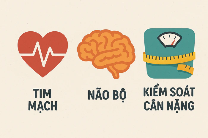 Lợi ích chế độ ăn Địa Trung Hải giúp tim mạch và trí não khỏe mạnh