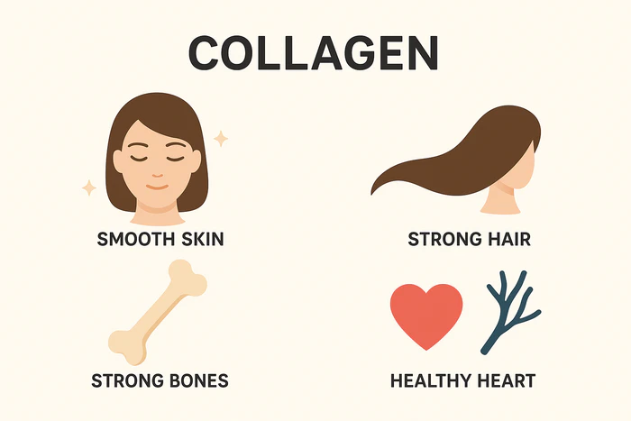 Lợi ích của việc bổ sung collagen qua thực phẩm tự nhiên
