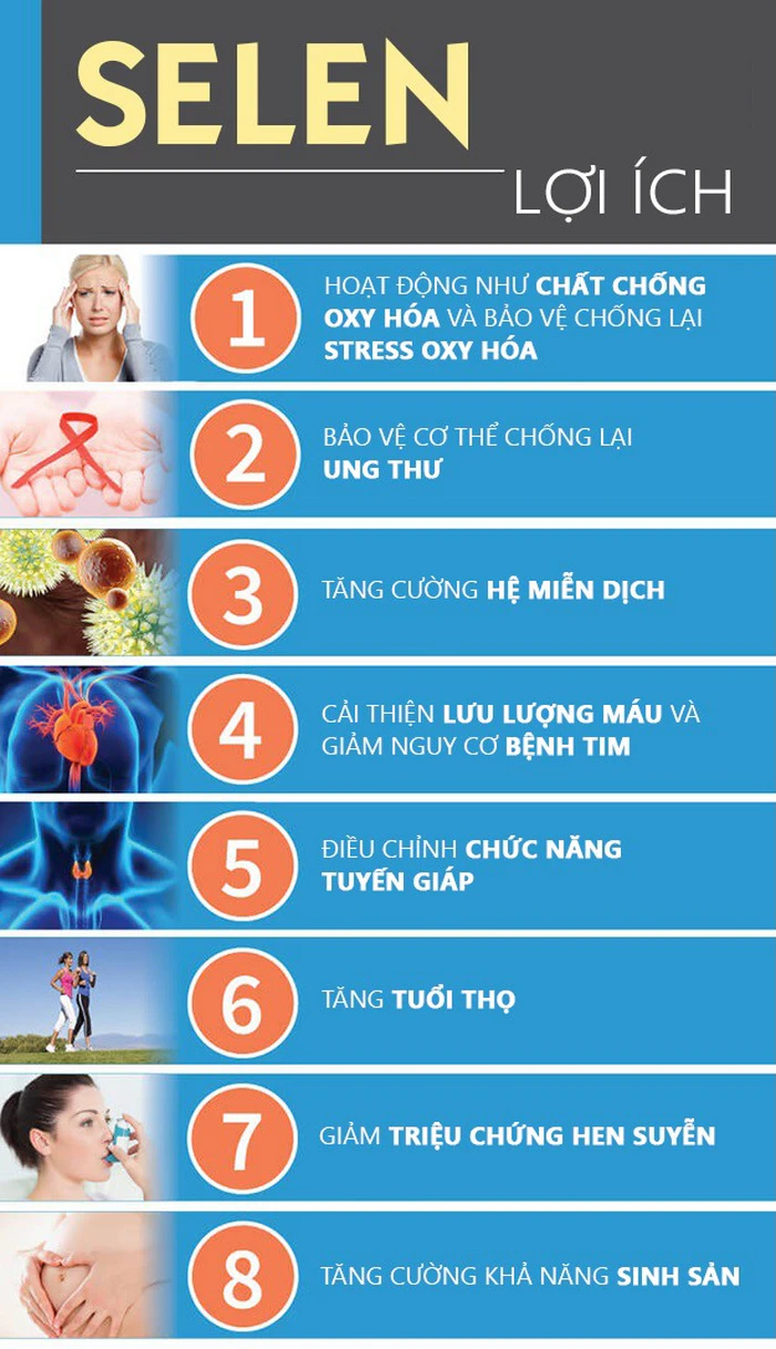 Lợi ích sức khỏe của selen: chống oxy hóa, miễn dịch, tuyến giáp, tim mạch