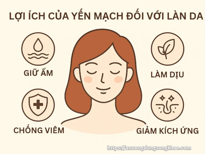 Tác dụng của yến mạch đối với làn da: giữ ẩm, giảm viêm, làm dịu da kích ứng