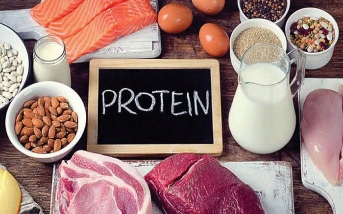 Các nguồn cung cấp protein động vật và thực vật