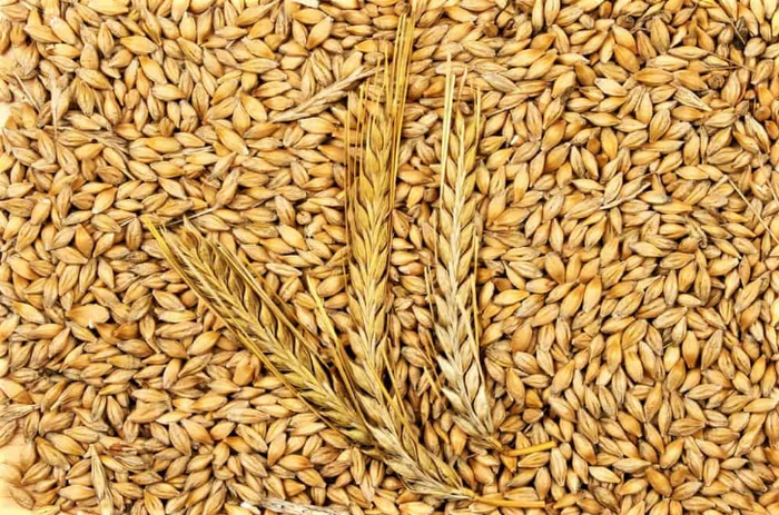 Vai trò của bia trong văn hóa và xã hội