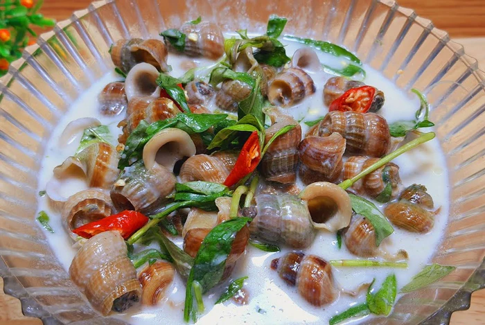 Ốc len xào dừa – món ngon đặc trưng ẩm thực Bến Tre