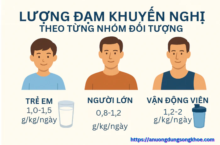 Biểu đồ lượng đạm khuyến nghị mỗi ngày theo tuổi và nhu cầu cơ thể.