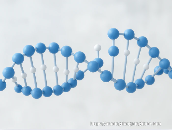 Cấu trúc phân tử protein – thành phần chính tạo nên chất đạm.