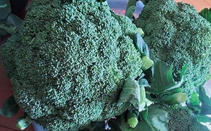 Súp lơ xanh bổ sung vitamin C và chất xơ