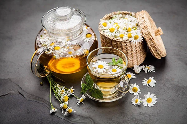 Trà hoa cúc giúp ngủ ngon tự nhiên, an thần hiệu quả