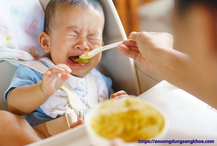 Thực Đơn Dinh Dưỡng Cho Bé Lười Ăn