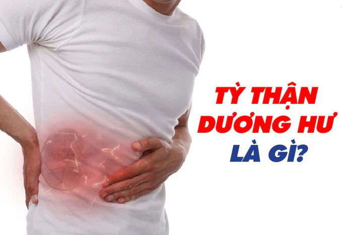 1. Khái niệm và nguyên nhân thận dương hư