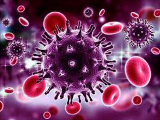 Hình ảnh virus HIV dưới kính hiển vi